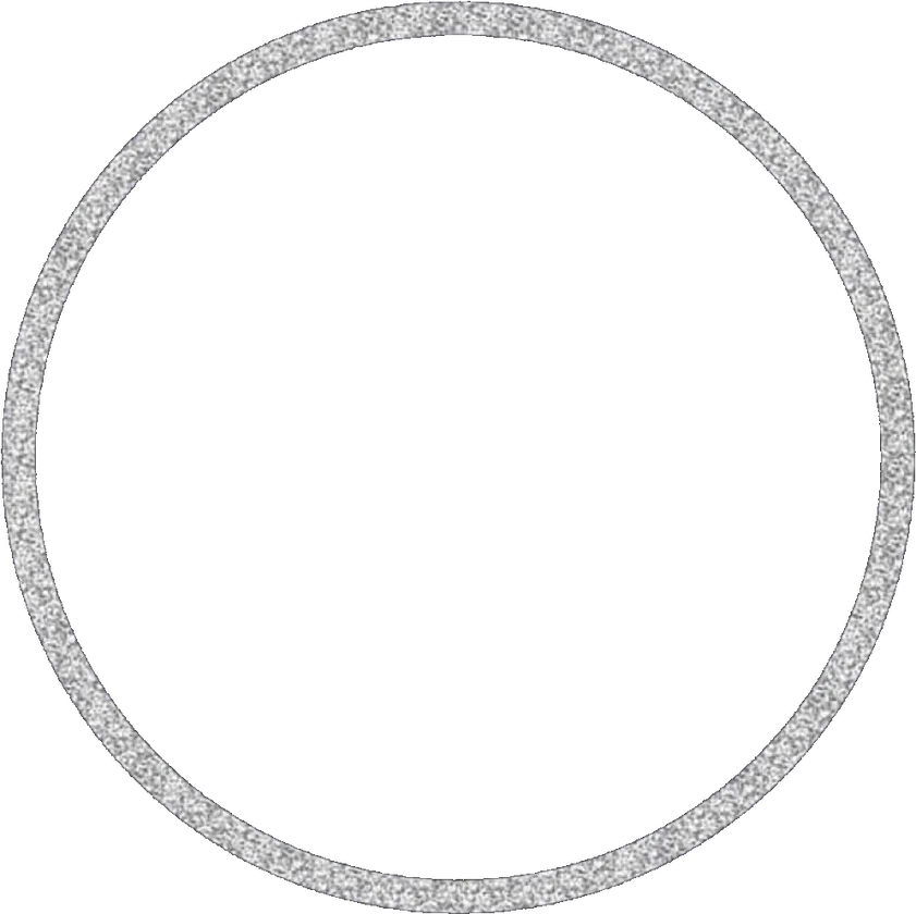 394-3942545_circle-silver-silvercircle-glitter-frame-circleframe-silver-glitter.png?v=20261023031102
